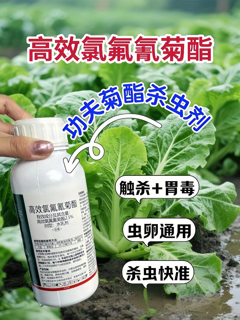 大兴安岭代生中心:农药对供卵代生妈妈的危害